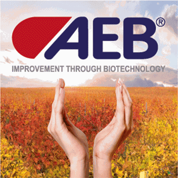 AEB