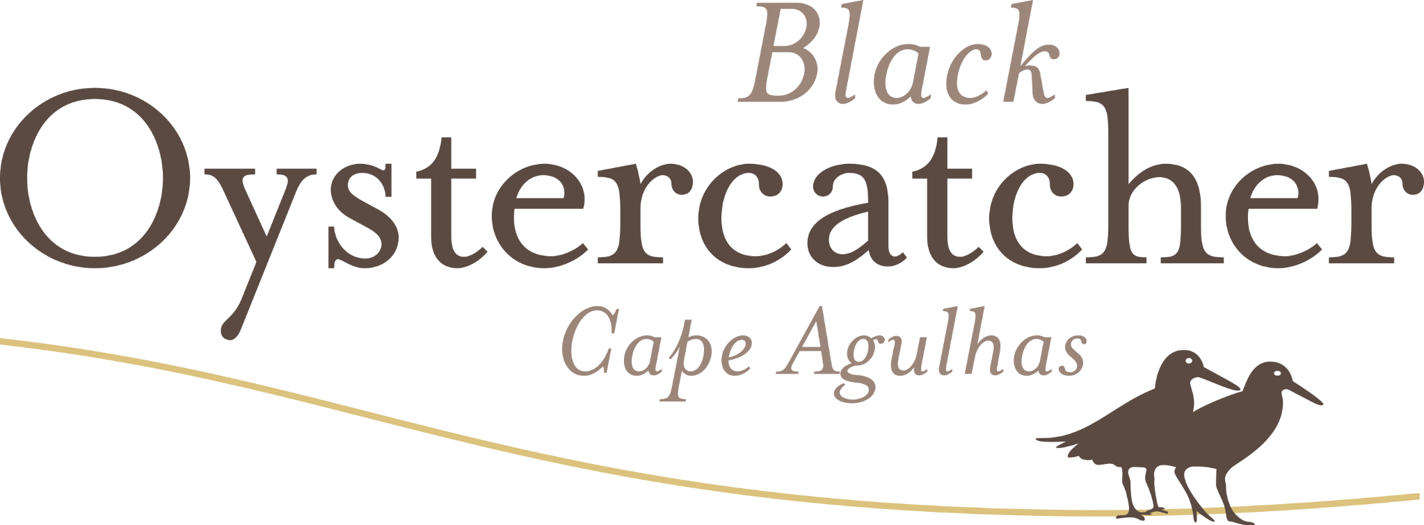 Black Oystercatcher logo