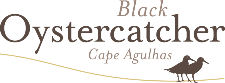 Black oystercatcher 768x284